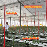 Serre tunnel horticole monocouche en film PE de grande taille, économique, en promotion, pour la culture des baies et des tomates