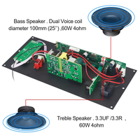 Yüksek güç DSP amplifikatör kurulu 1*60W/2*30W Stereo ses Amp modülü 8-18 inç arabası hoparlörler dış mekan kullanımı alıcı amplifikatörler