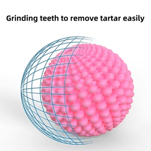 Sıcak aşınma ve ısırık dayanıklı eğlenceli ses keskinleştirmek diş ve temiz Pet ses oyuncaklar köpek çiğneme oyuncakları - Product Image 4