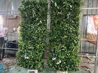 Mur végétal artificiel vertical Bagang en solde pour décoration de jardin, panneaux de haie artificielle en buis pour extérieur