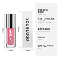 Gloss à lèvres hydratant effet glacé 6 couleurs 6ml, soin des lèvres brillant et lisse avec pinceau en alliage de zinc pour la vente en gros