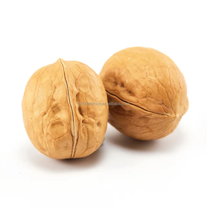 Premium Kwaliteit Walnoten Alle Natuurlijke Producten Groothandelsprijzen Walnoot In Bulk Hete Verkoop Natuurlijke Rauwe Walnoten - Product Image 1