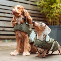 Vestes pour chiens modernes et luxueuses en polyester imperméable, personnalisables en gros, pour Dachshund, Boxer - Ajustables pour l'hiver, le printemps, l'été, toutes races