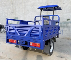 Triciclo de Carga 200cc para 1 Pasajero, Gasolina, Certificación EEC, Económico y Práctico, Autodescarga, Gran Capacidad, Venta Caliente en China 2026 - Product Image 5