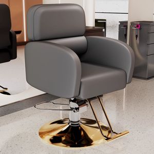 Sedia da Parrucchiere Professionale con Base Dorata Moderna, Vendita all'Ingrosso - Product Image 4