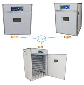 Incubateur d'oeufs de <span class=keywords><strong>paon</strong></span> - Product Image 1