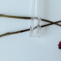 Tube transparent vide pour gloss à lèvres avec bouchon à vis, impression de logo personnalisée, 4 ml