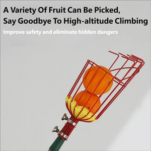<span class=keywords><strong>Outil</strong></span> de cueillette de fruits pour jardin, adapté à la cueillette en hauteur des pommes, des pêches et des kakis - Product Image 6