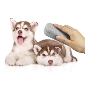 Chien chat animaux cheveux pour enlever les poils d'animaux pierre rouleau de brosse pour le nettoyage - Product Image 1