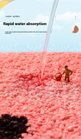 Tapis de porte antidérapants à séchage rapide de petite taille pour sol de chambre à coucher fortement absorbant les fruits frais cuisine domestique