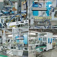 LWT kepala tunggal kemasan casing robot untuk botol air botol jus botol minyak dapat dimakan tinju otomatis