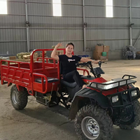 Tricycle à essence de haute qualité 300cc, grand véhicule utilitaire tout-terrain, vente directe d'usine