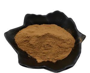 Ahcc Supplément de champignon en poudre en vrac Shiitake 100% Pure Private Label <span class=keywords><strong>Mycelia</strong></span> Shitake Extract - Product Image 6