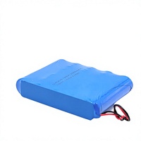 Batterie lithium-ion rechargeable personnalisée 18650 5S1P 18V 18,5V 21V 3500mAh avec protection BMS