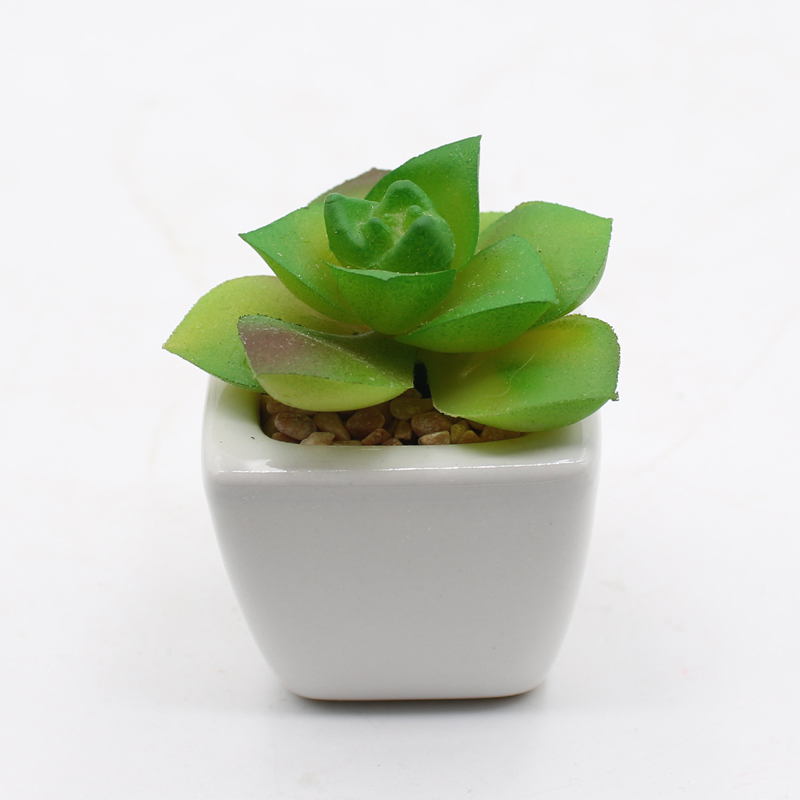 PA01-27   พีเอ01-27