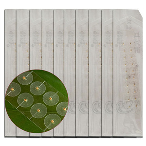 50 bolsas Mix Auricular Acupuntura Imanes Acupuntura Oreja Cuentas Pellets Semillas Pellets magnéticos Oreja Semilla Acupuntura - Product Image 1