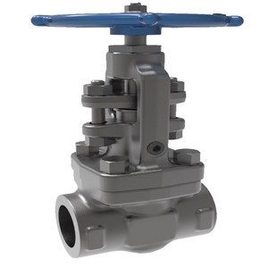 Válvula de Globo de Acero al Carbono ASTM A216 WCB para Agua a Alta Temperatura, Control Manual Personalizado, Soporte OEM - Product Image 2