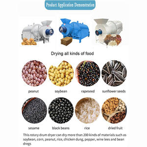 Équipement de séchage rotatif électrique industriel Séchoir à tambour à grains de biomasse Machine pour aliments pour grains de café Sandy - Product Image 5