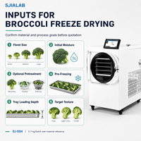 Machine de lyophilisation sous vide pour ingrédients végétaux (brocoli) SJ-05H, capacité de 5-7 kg par lot
