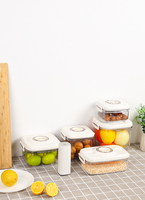 Joint sous vide en Silicone de haute qualité conteneur de stockage des aliments récipient sous vide à fonctionnement manuel avec pompe à vide automatique