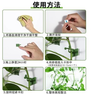 คลิปหนีบติดผนังสำหรับยึดต้นไม้สีเขียว ใช้ในสวนและบ้าน - Product Image 1