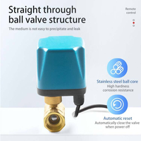 Válvula de Bola de Acero Inoxidable con Control Remoto, Funciona con Voltaje AC220V DC24V /12V