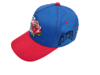 Casquette de baseball en coton 100% brodée sur mesure, unisexe, design 5 panneaux, usage décontracté en plein air, casquettes de baseball en coton ajustables, vente en gros