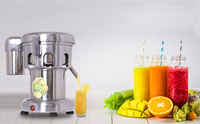 A3000 Heavy Duty 370W Juicer Machine Fruits Et Légumes Jus Maker Commercial Jus Extracteur