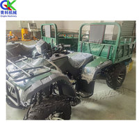 Buggy de plage à essence à quatre roues 250/300cc pour le transport du sable Camion de plage pour agriculteur de transport Buggy de plage à quatre roues