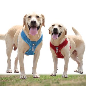 <span class=keywords><strong>Harnais</strong></span> de Sport en plein air <span class=keywords><strong>pour</strong></span> chiens, robuste, respirant et frais, <span class=keywords><strong>pour</strong></span> animaux de compagnie, ensemble <span class=keywords><strong>pour</strong></span> grands chiots, meilleure vente, été, - Product Image 1