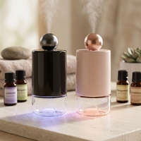 Diffuseur portable rechargeable à diffusion d'air froid, fonctionnement silencieux, lumière RGB, grande bouteille, pour voiture et maison
