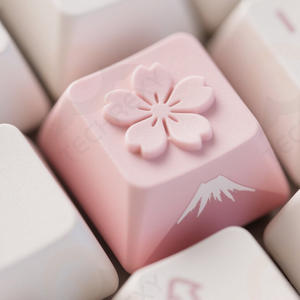 Personnalisable PBT et résine Cherry Blossom Mount <span class=keywords><strong>Fuji</strong></span> Shaped Keycaps Personnalisé Keycap Fournisseur Usinage Services Produit - Product Image 3