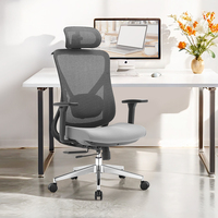 Foshan chaise de bureau moderne en tissu ergonomique confortable et robuste chaise de bureau d'ordinateur avec support lombaire 2D Silla de oficina