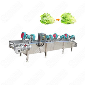 Lavadora de burbujas de mango Máquina de limpieza de naranjas Máquina de limpieza de burbujas naranjas Línea de producción de limpieza de naranjas - Product Image 6