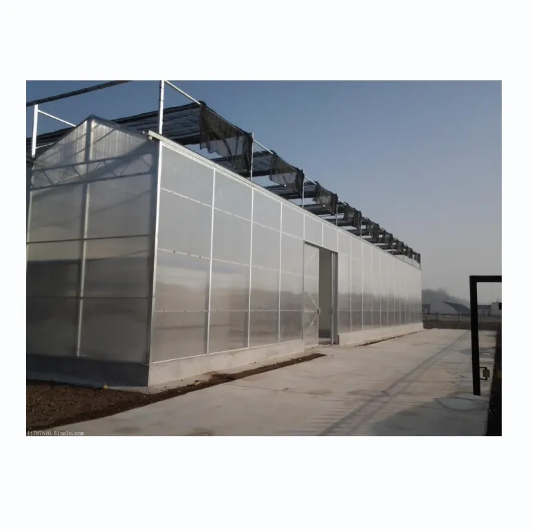 Multi-Span serra idroponica PC plastica policarbonato foglio di serre agricole per la vendita