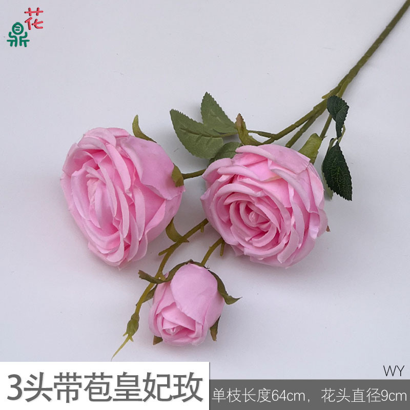 Rose Royale WY (rose) à trois têtes, en bouton