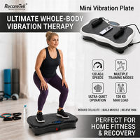 Handlauf-Vibrationsplatte Vibrationsplattform-Maschine Schlankheitsmaschine Mini Ganzkörper-Lieferanten-Trainingsgerät Lymphatische Gewichtsreduktions-Kit