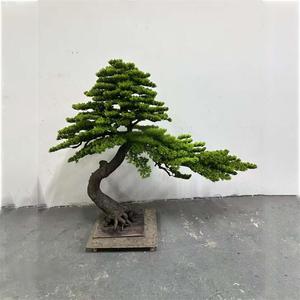 OH, искусственное сосновое дерево бонсай из стекловолокна - Product Image 2