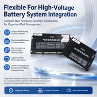 Batería Externa de Alto Voltaje con Pantalla LCD de 4.3 Pulgadas, 48S EC-HV-MC1+EC-HV-SC2+PCBA BMS en Cascada, CAN RS485 para Almacenamiento de Energía Comercial