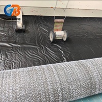 Revestimiento de Arcilla Geosintética GCL, Manta Geotextil Impermeable de Bentonita para Contención de Agua