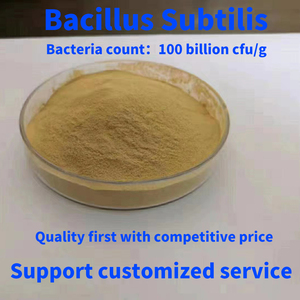 Top Quality Purificar A Qualidade Da Água 20 Bilhões <span class=keywords><strong>Bacillus</strong></span> Subtilis Bactérias Nitrificantes Para Lagoas - Product Image 6