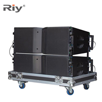 RIY-210 Haut-parleur de scène professionnel d'extérieur, double 10 pouces, Line Array, aimant néodyme, 8/4 Ohm, système audio actif/passif en métal
