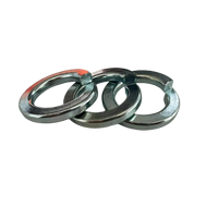 DIN127 Spring Washers Black Finish Made in China High Quality