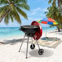 Barbecue à charbon de bois multifonctionnel en acier émaillé, sans fumée, sur chariot, pour pique-nique familial – Offre Spéciale Jardin et Patio