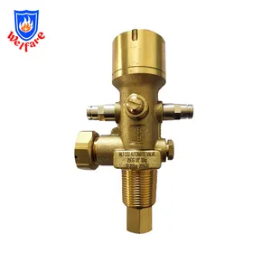 hot sale indirectly and indirectly way Co2 fire suppression system brass CO2 valve for fire detect and trace system