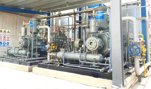 Nouvelle pompe à moteur sans huile de type stationnaire, moteur à hydrogène, recyclage <span class=keywords><strong>riche</strong></span> <span class=keywords><strong>en</strong></span> synthèse de gaz, compresseur pour désulfuration du diesel - Product Image 3