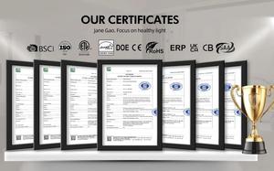 42-inch sang trọng thông minh LED trần đèn quạt với điều khiển từ xa hiện đại 2025 New Hot Bán thiết kế cho phòng khách cấu hình thấp - Product Image 6