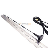 Antenne magnétique GSM à boucle magnétique HF 5dBi 5 dBi 0-30 MHz UHF 450-470