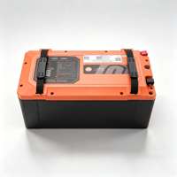 Batterie au Lithium-fer-phosphate 64V, 50Ah/100Ah, LiFePO4, BMS intelligent intégré, sortie stable, rechargeable et sûre pour tricycle électrique