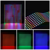 DC5v Ws2812b SK6812 LED Dot Matrix Berkualitas Tinggi 8*32 16*16 8*8 Digital Addressable